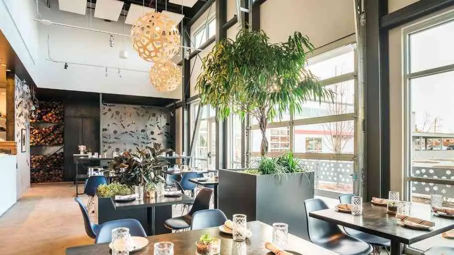 restaurant in Denver, famous restaurants of Denver, restaurant in Denver downtown,organic restaurants of Denver