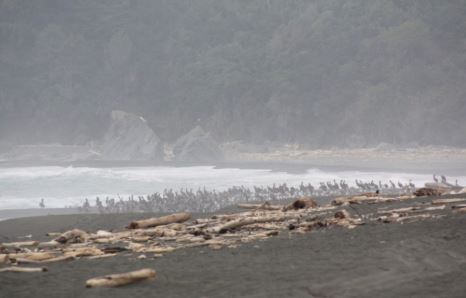 amazing beach in northern California