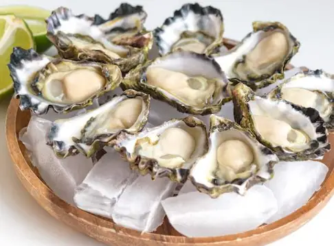 Famous Foods in Sydney