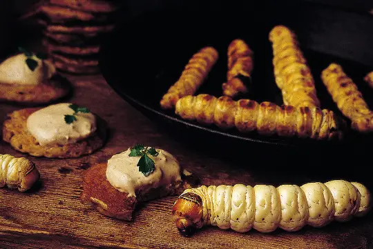 Famous Foods in Sydney