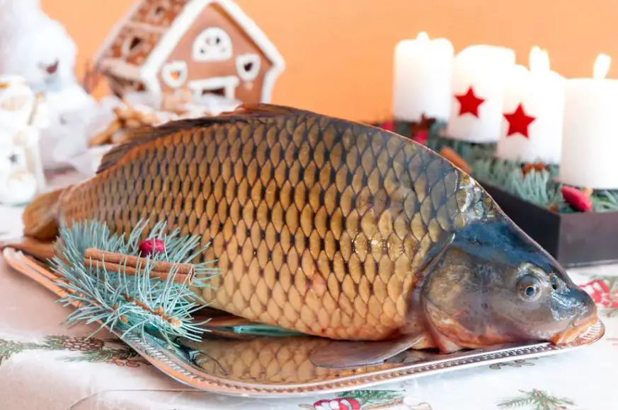 Weird Food to Eat in Europe