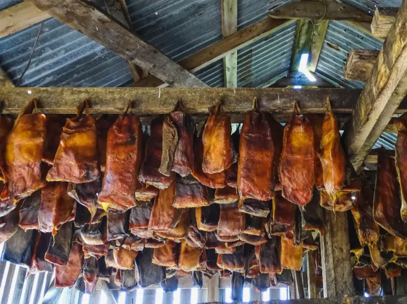 Weird Food to Eat in Europe