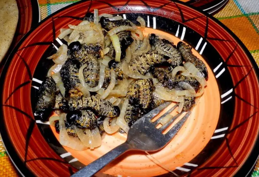  Weird Foods in Africa, Unusual Foods in Africa 