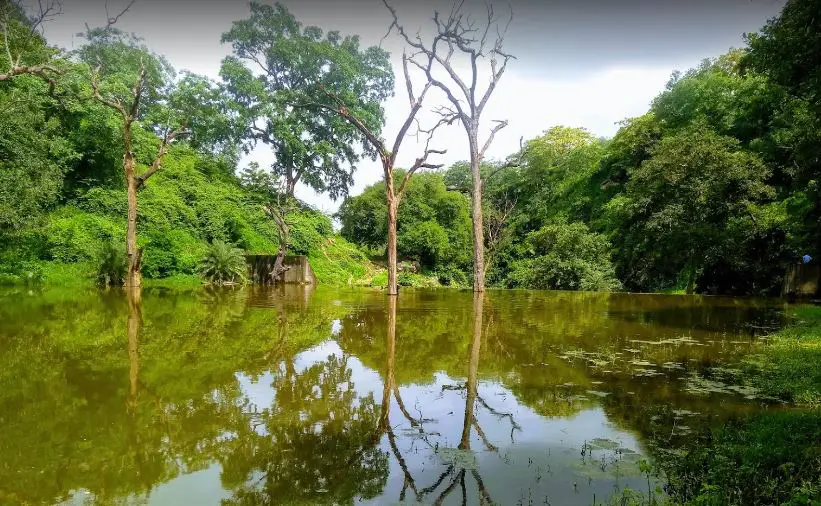 lakes of Udaipur, lakes in Udaipur, lakes in Udaipur city, number of lakes in Udaipur, best lakes in Udaipur, lakes of Udaipur city, lakes around Udaipur, famous lakes in Udaipur, lakes near Udaipur, how many lakes in Udaipur