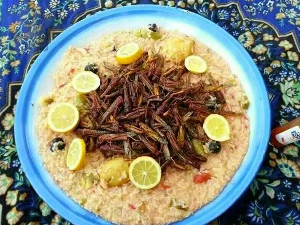 unusual foods in Saudi Arabia, strange foods from Saudi Arabia, weird foods of Saudi Arabia, most unusual food in Saudi Arabia, strangest foods of Saudi Arabia, unusual foods to eat in Saudi Arabia, bizarre foods in Saudi Arabia, 