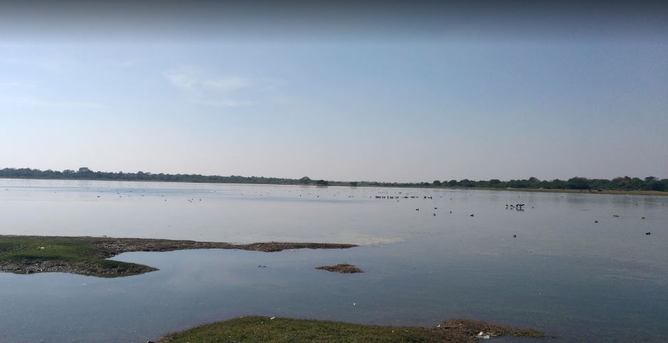 lakes of Udaipur, lakes in Udaipur, lakes in Udaipur city, number of lakes in Udaipur, best lakes in Udaipur, lakes of Udaipur city, lakes around Udaipur, famous lakes in Udaipur, lakes near Udaipur, how many lakes in Udaipur