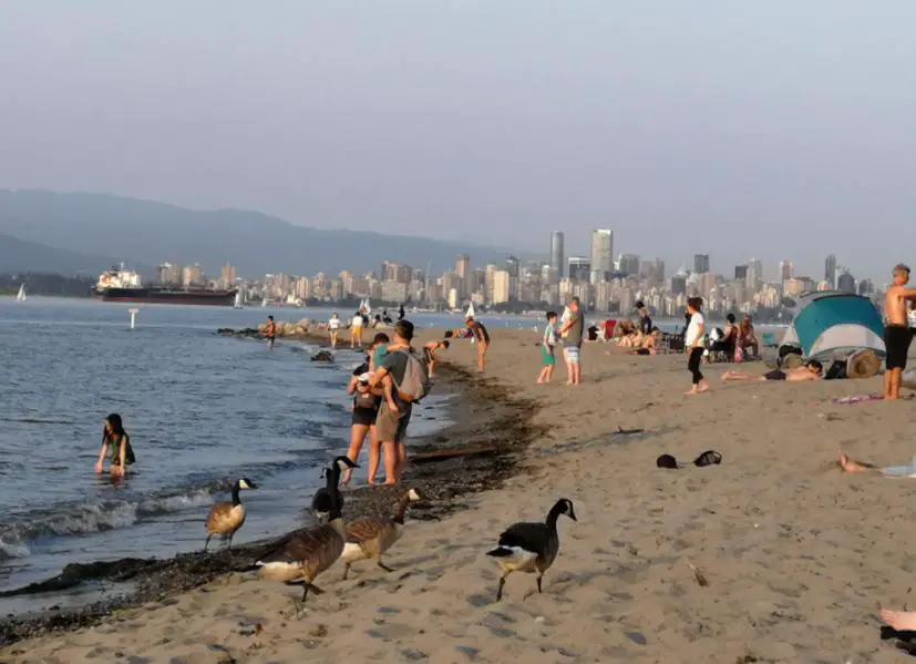 Best Beaches in Vancouver, Beaches to visit near in Vancouver