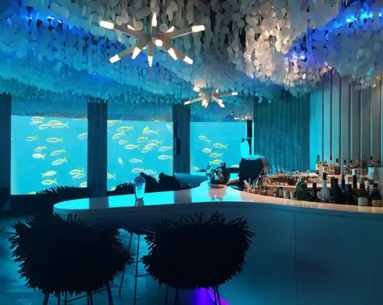 top summer holiday destination in the Maldives, popular destination to visit in the Maldives for summer, places in the Maldives for summer trips 