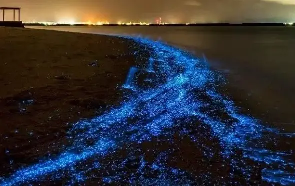 top summer holiday destination in the Maldives, popular destination to visit in the Maldives for summer, places in the Maldives for summer trips 