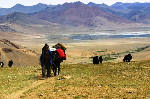 famous trek in Ladakh, popular treks in Ladakh, easiest trek in Ladak, top trek of Leh Ladak, trek in Ladak, well-known trek in Ladak, Trekking in Ladakh & Zanskar, trekking in Ladakh