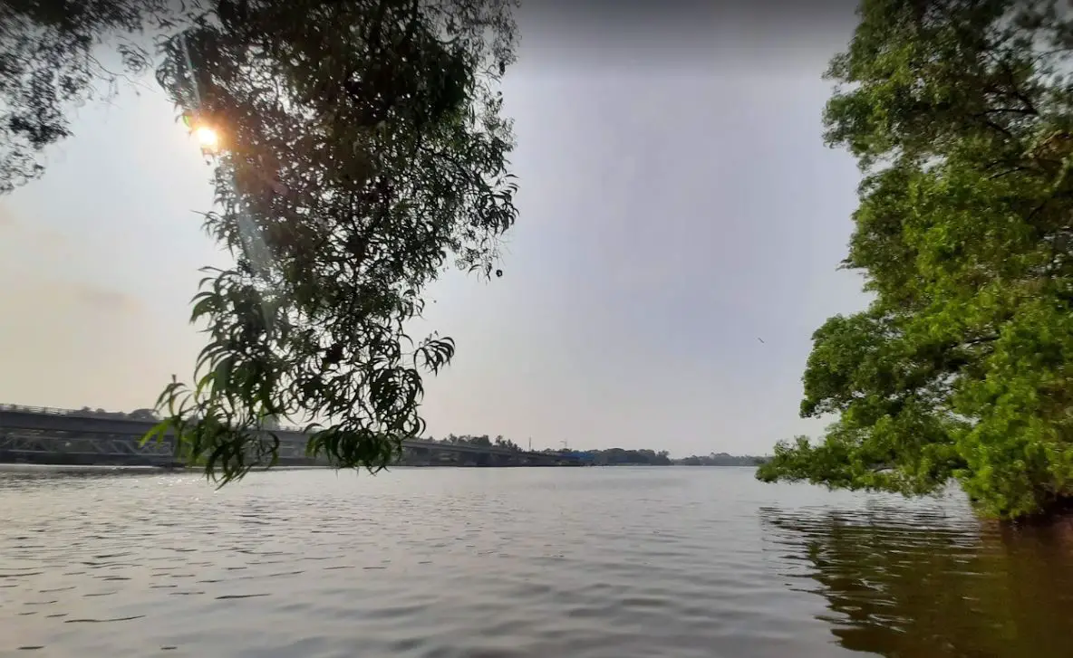 Ashtamudi Lake