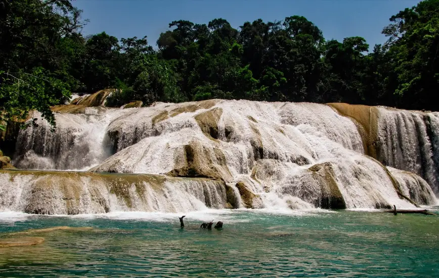 Agua Azul Waterfalls