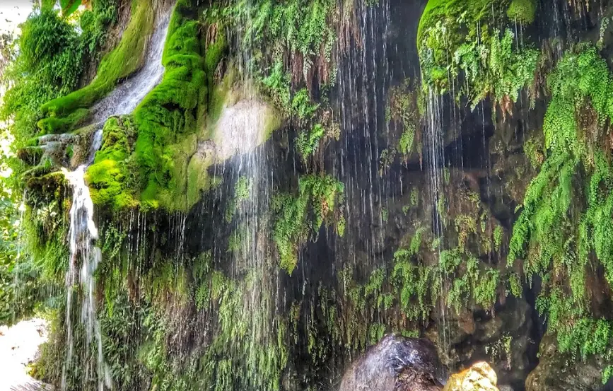 Krause Springs waterfalls hikes in Austin,waterfalls hikes Austin,waterfalls around Austin texas,waterfalls in the Austin area,secret waterfalls in Austin,hiking and waterfalls in Austin,parks in Austin with waterfalls