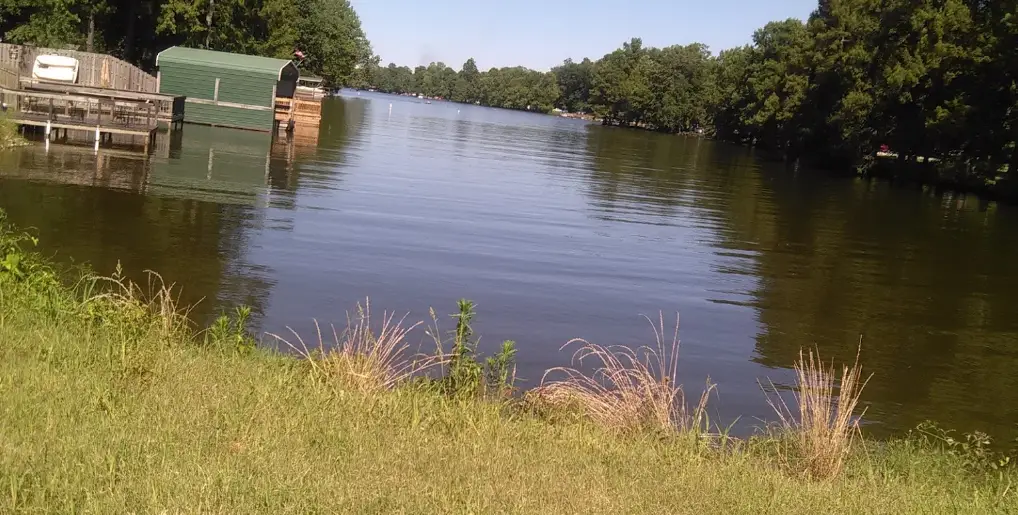 Reelfoot Lake