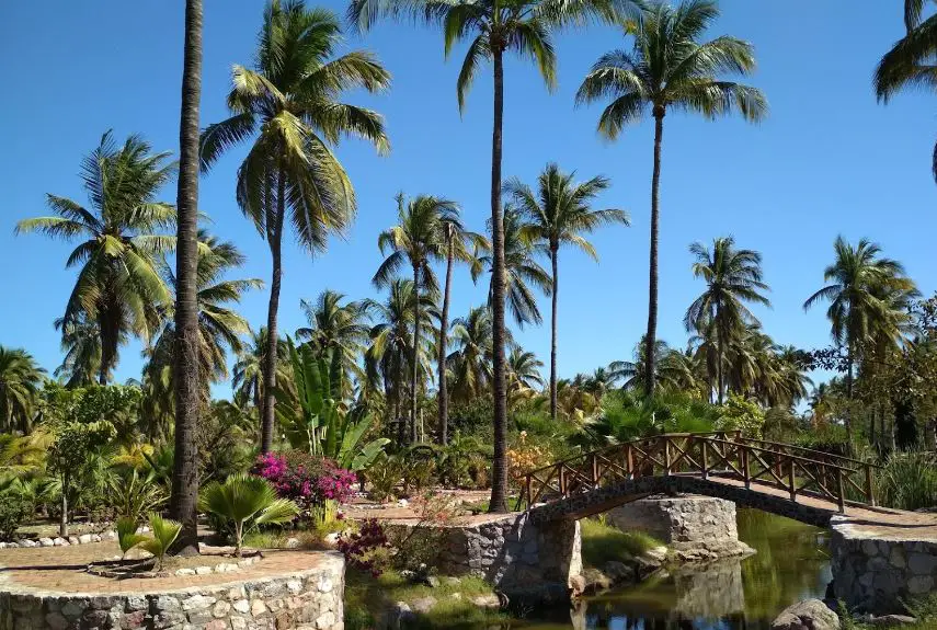 public parks and gardens in Mexico City,Bosque de Chapultepec park in Mexico,top-rated public park in Mexico,man-made park in Mexico,popular botanical gardens in Mexico City
