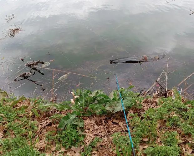 fishing places in Dallas,fishing destinations in Dallas,fishing spots in Dallas,prime spot for fisher in Dallas,wonderful place for fishing in Dallas