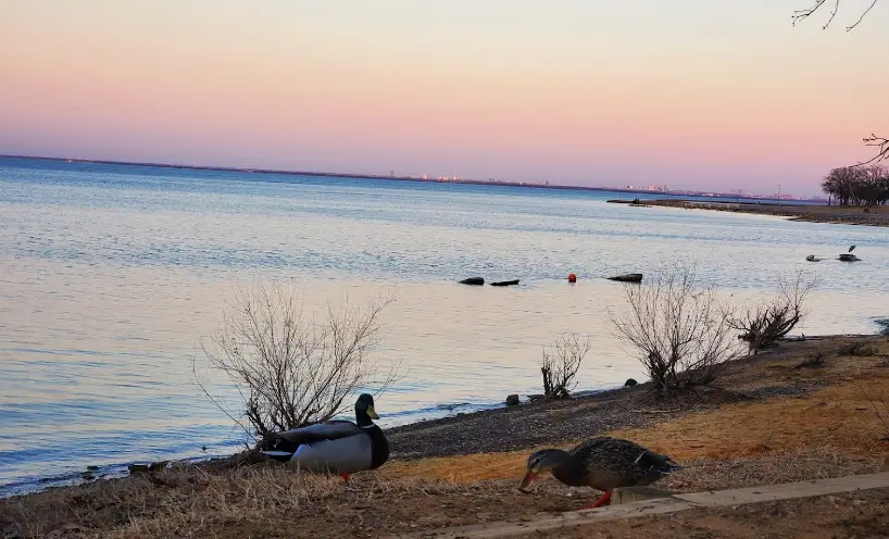 fishing places in Dallas,fishing destinations in Dallas,fishing spots in Dallas,prime spot for fisher in Dallas,wonderful place for fishing in Dallas