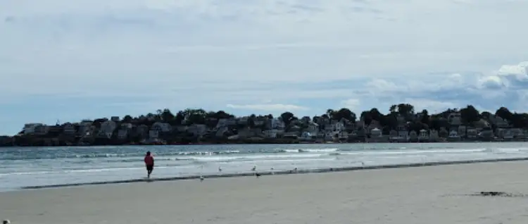 beaches in Boston, beaches near Boston,best beach near Boston, beaches in Boston ma, beaches near Boston ma, beaches in south Boston, beaches in Boston area, public beaches in Boston, are there beaches in Boston