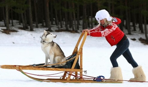 list of 10 exciting activities to try in Finland on Christmas, best things to do in Finland during Christmas, famous thing to do in Finland on Christmas, trends of Christmas in Finland, must-try thing to do in Finland during Christmas