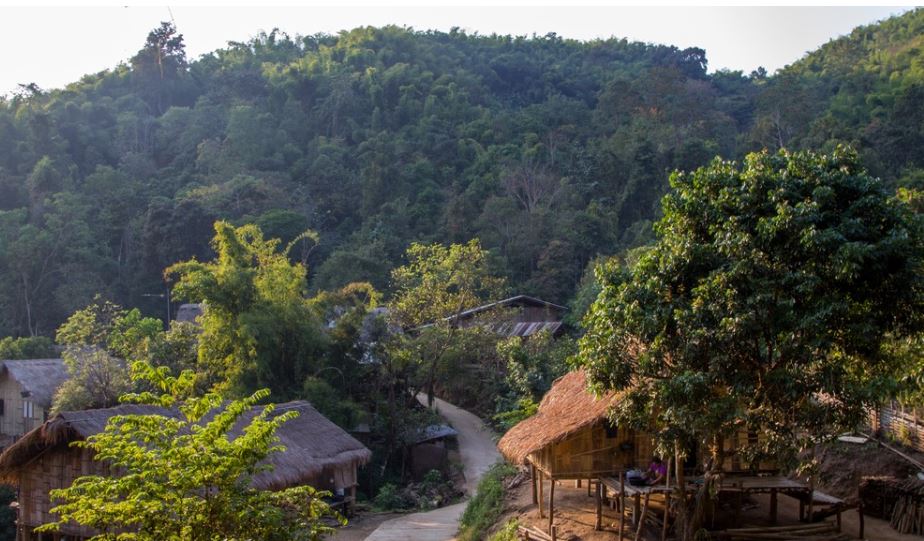 10 trekking trails of Thailand,10 Thriller Hiking trails to go in Thailand, must-try trekking place in Thailand,best trek in Thailand to try