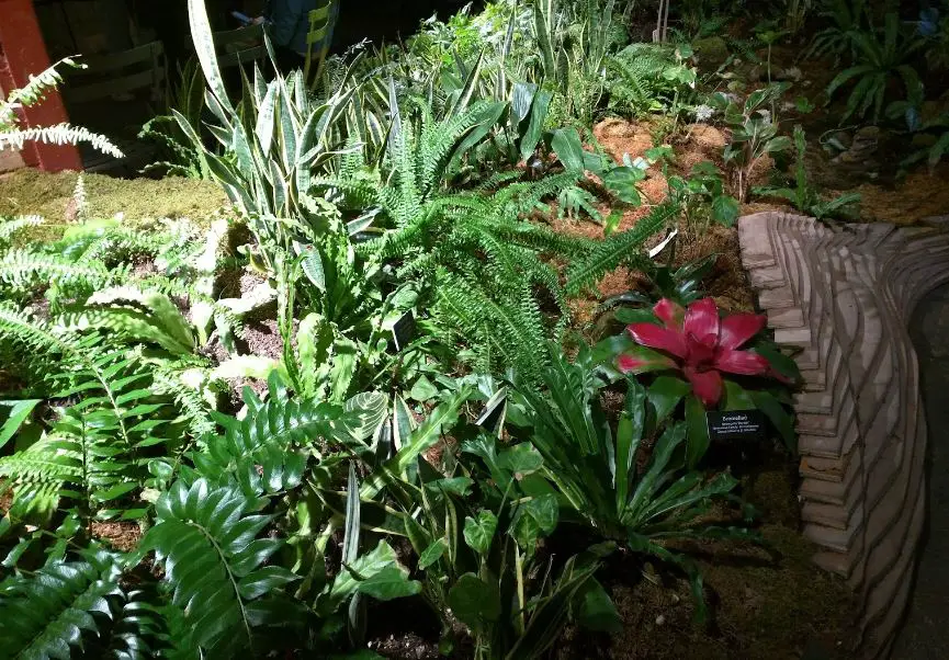 New York facts,facts about New York New York City fact,New York interesting fact,New York pizza facts history of New York facts