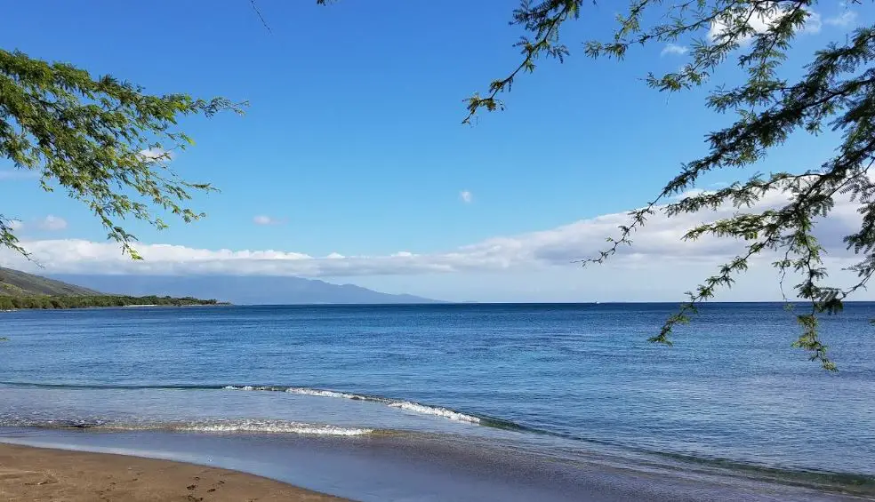 Olowalu beach in Maui,crescent-shaped beach in Maui,family-friendly beach in Maui,best beach in Maui,busiest beach in Maui, white rock beach in Maui,beautiful white sand beaches in Maui,most beautiful beaches on Maui,Makena Beach in Maui