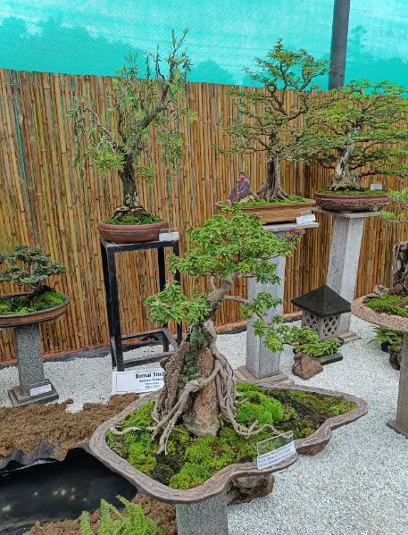 Bengaluru news, Latest travel news, Flower show Bengaluru