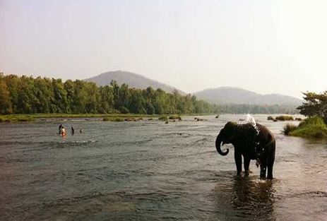 attractions in Munnar, tourist attraction in Kerala, place to visit in Munnar, top places to visit in Munnar, Munnar trip