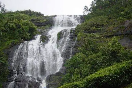 tourist attraction in Kerala, place to visit in Munnar, top places to visit in Munnar