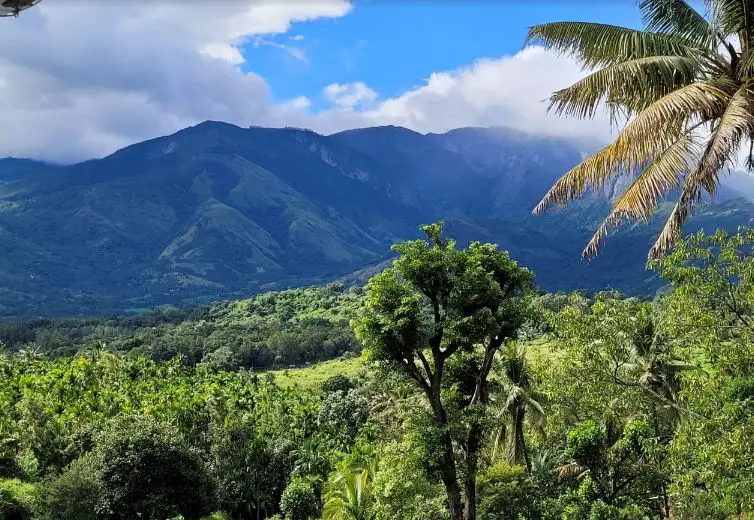 tourist attraction in Kerala, place to visit in Munnar, top places to visit in Munnar, Munnar trip