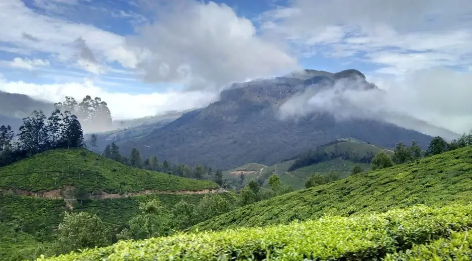 tourist attraction in Kerala, place to visit in Munnar, top places to visit in Munnar, Munnar trip